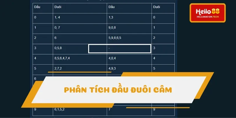 Phân tích dựa vào đầu đuôi câm Phân tích dựa vào đầu đuôi câm
